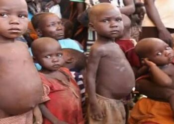 Severe hunger affecting 4.3m people in Nigeria's Northeast – UN