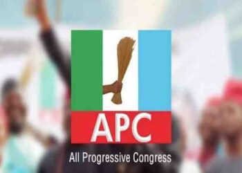 APC sweeps Imo LG election