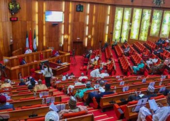 Senate backs S'Court verdict on LG autonomy