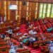 Senate backs S'Court verdict on LG autonomy