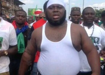 We don't have any partnership with Asari Dokubo's private military - Army