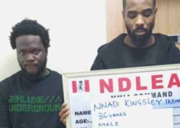 I distribute illicit drugs to Quilox club, Silver Fox, others - Dealer confesses to NDLEA