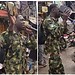 Why we arrested soldier preaching on social media - Army