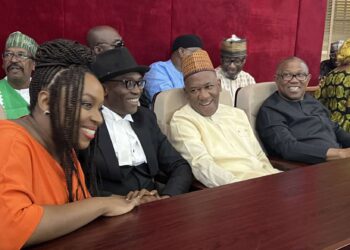 JUST IN: Chimamanda, Peter Obi, Baba-Ahmed storm presidential election petition tribunal