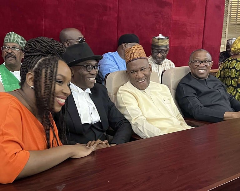 JUST IN: Chimamanda, Peter Obi, Baba-Ahmed storm presidential election petition tribunal