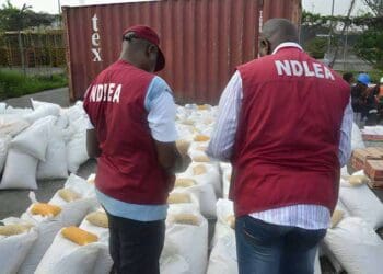 NDLEA confiscates N56.9m worth of hard drugs in Abuja, arrests 343 suspects