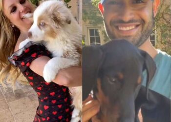 Amid divorce battle, Britney Spears, Sam Asghari agree to share dogs