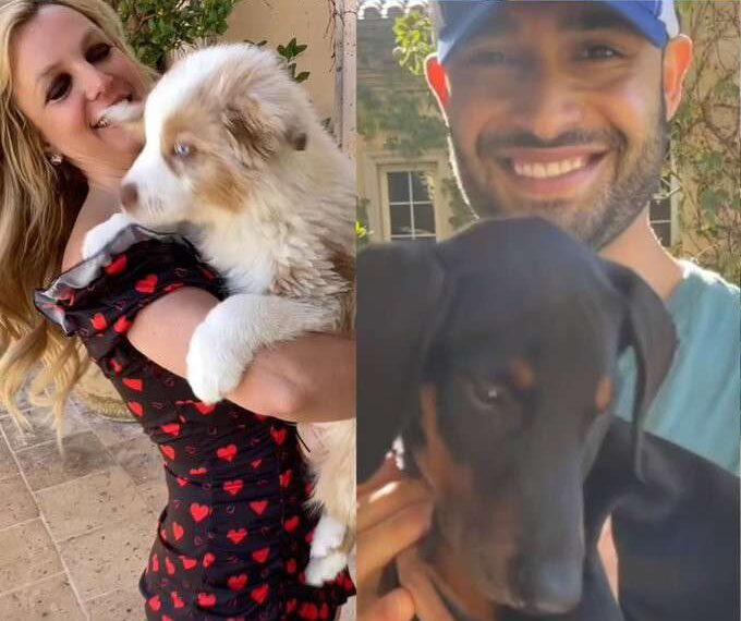 Amid divorce battle, Britney Spears, Sam Asghari agree to share dogs