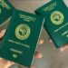 Automation of passport application begins Jan 8 - FG