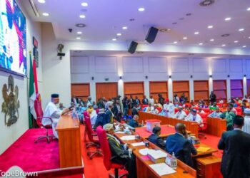 BREAKING: Senate moves to establish LG electoral commission