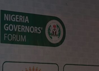 Governors forum appoints Shittu as acting DG