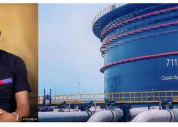 FG, Nigerians should be cautious of Dangote refinery - Gillis-Harry