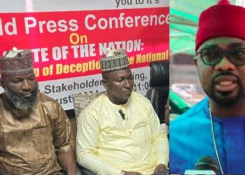 Ugochinyere has hired mercenaries to blackmail Speaker Abass, deputy - Arewa groups