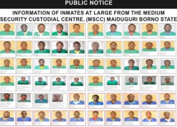 FG releases pictures, places 281 Borno fleeing inmates on watchlist