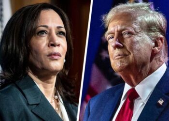 Trump leads Harris as US election results trickle in